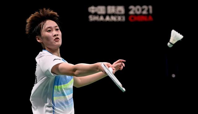 皮肤收集 皮肤收集