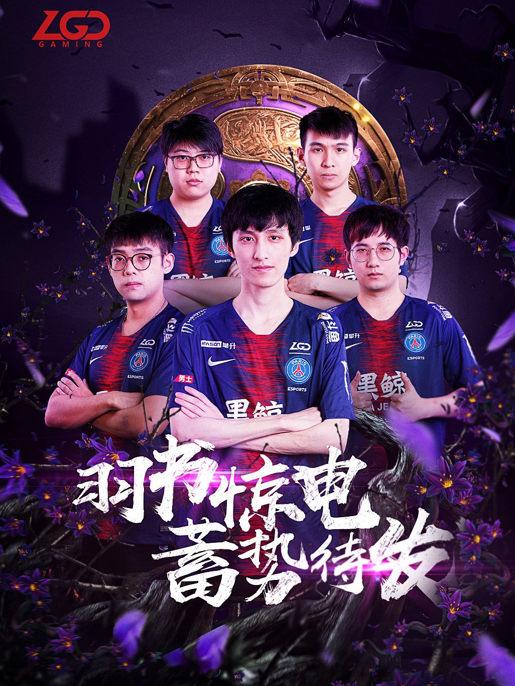 提的是保罗 提的是保罗